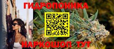 мет Дмитров